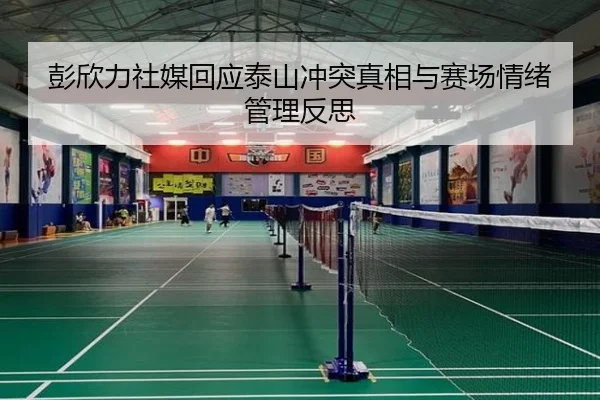 彭欣力社媒回应泰山冲突真相与赛场情绪管理反思